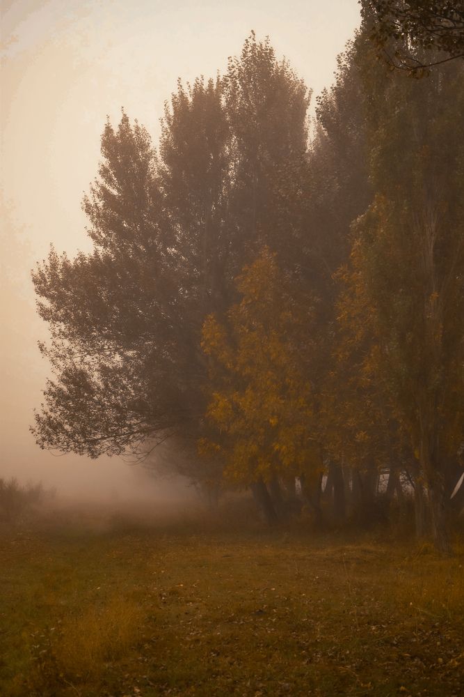 Photograph by Анна Федотова