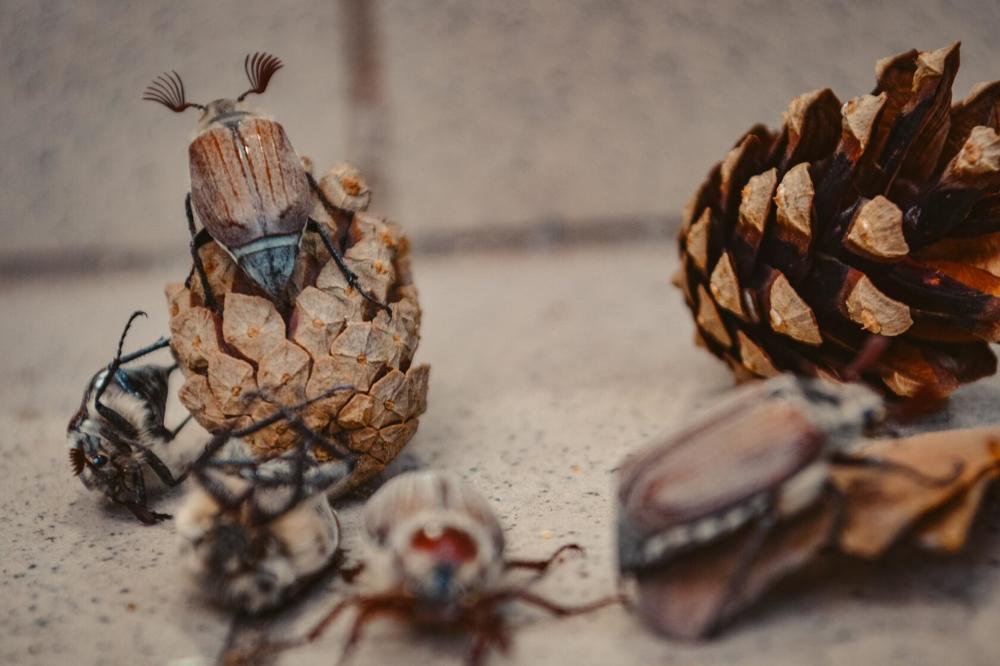 Photograph by Анжелика Трошина