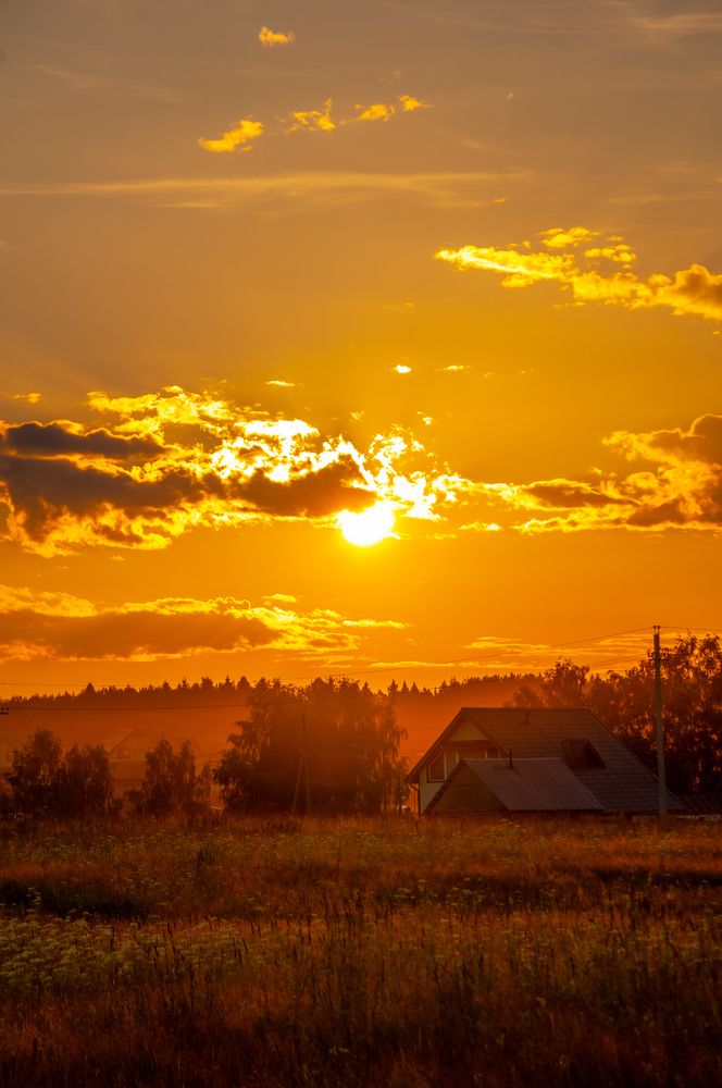 Photograph by Артём Шестаков