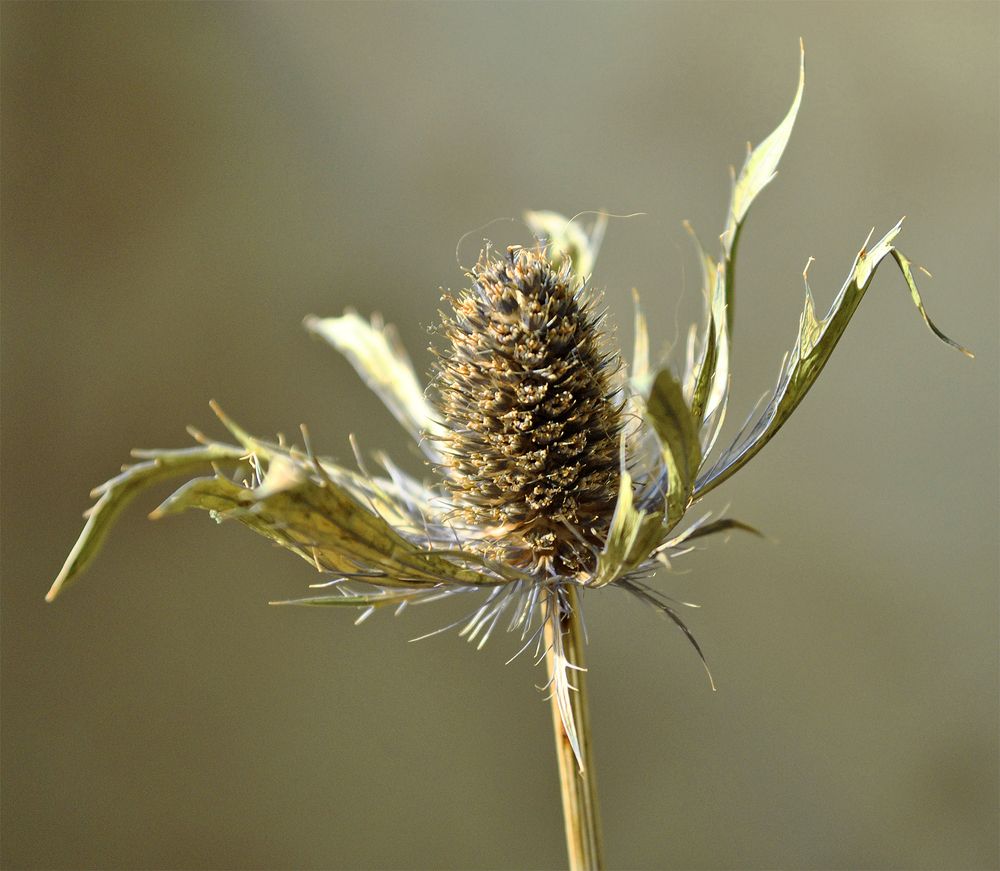 Photograph by Алексей