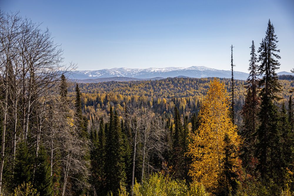 Вид на хребет Мустаг