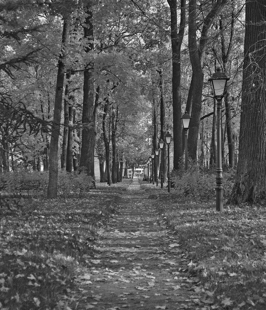 Photograph by Алексей