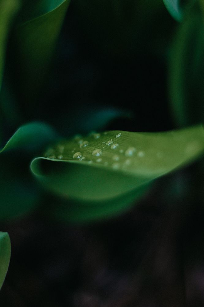 Photograph by Виктория Гисс