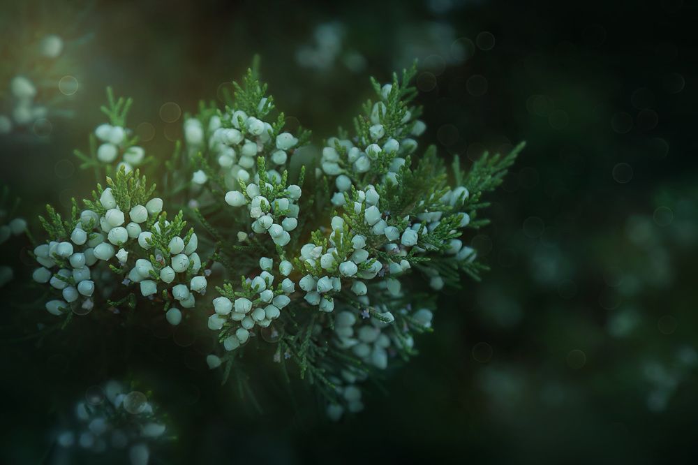 Photograph by Татьяна Колесникова