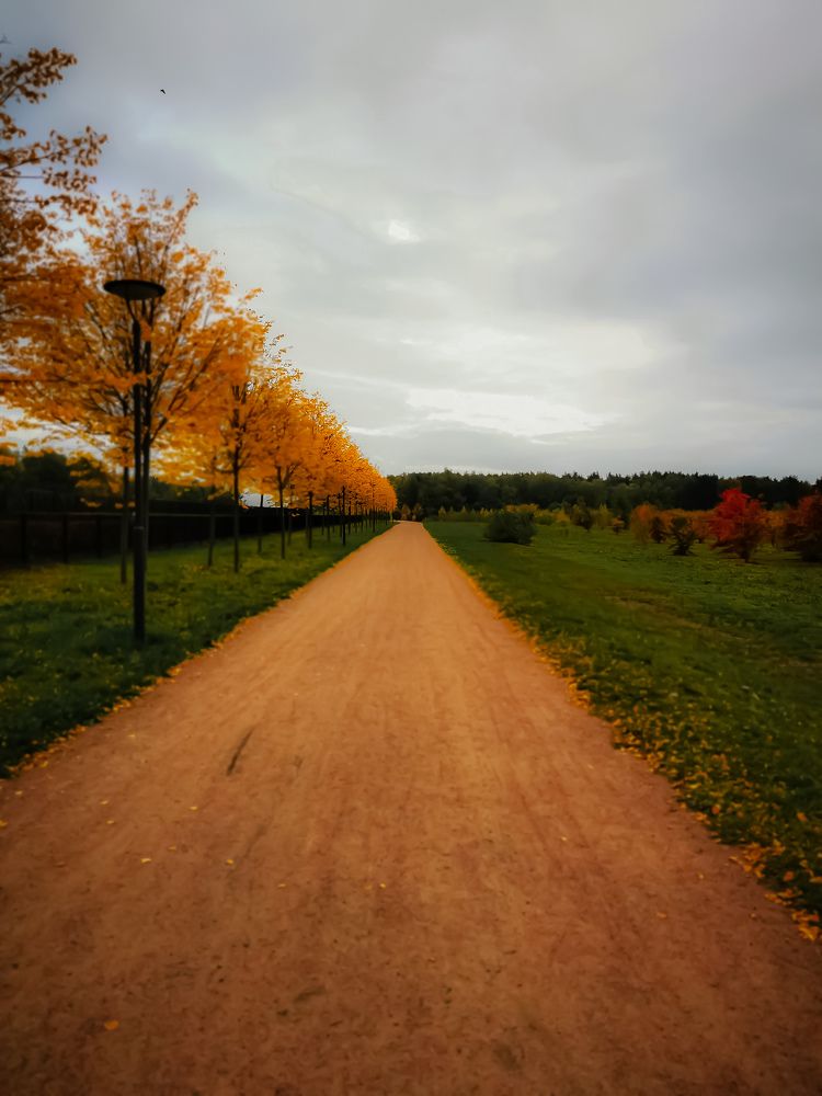 Photograph by Наталья Асоскова