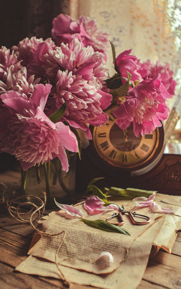 Photograph by Анна Федотова