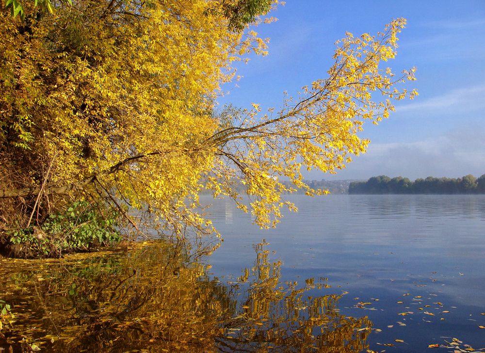 Photograph by Павел Колеснев