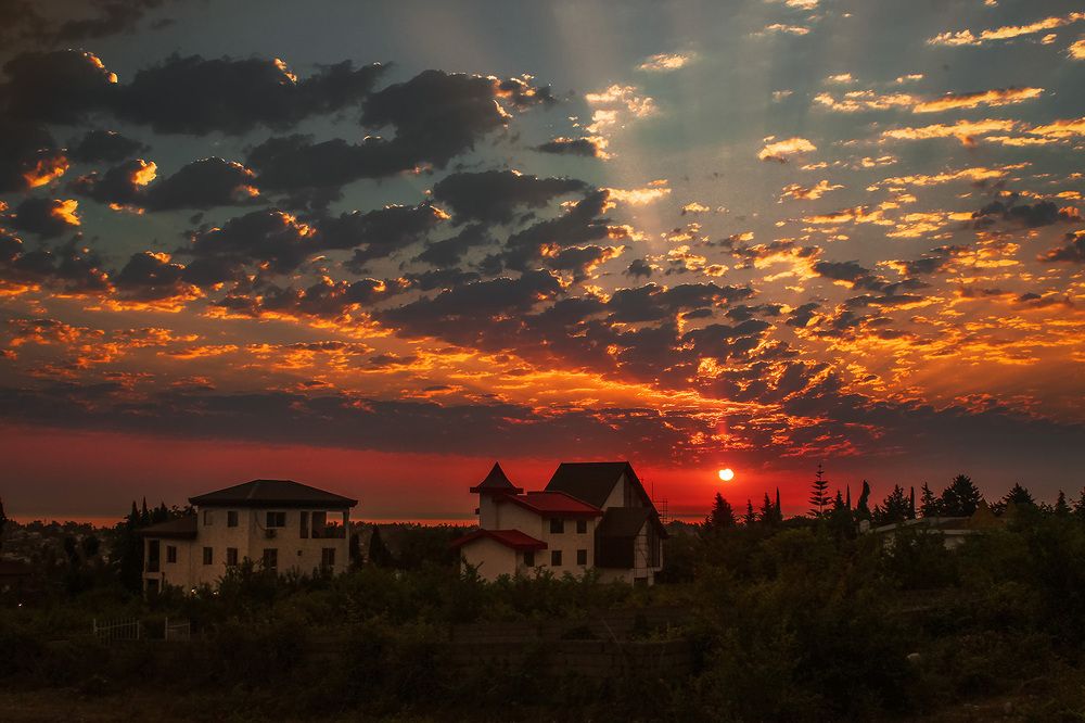 Photograph by Ali Memari