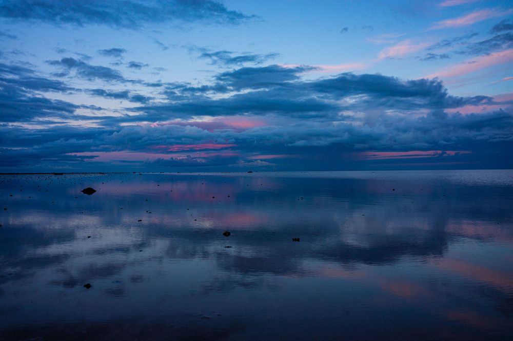 Photograph by Виталий Зубков