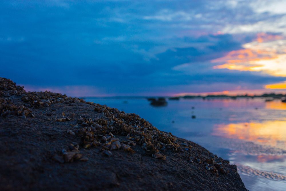 Photograph by Виталий Зубков