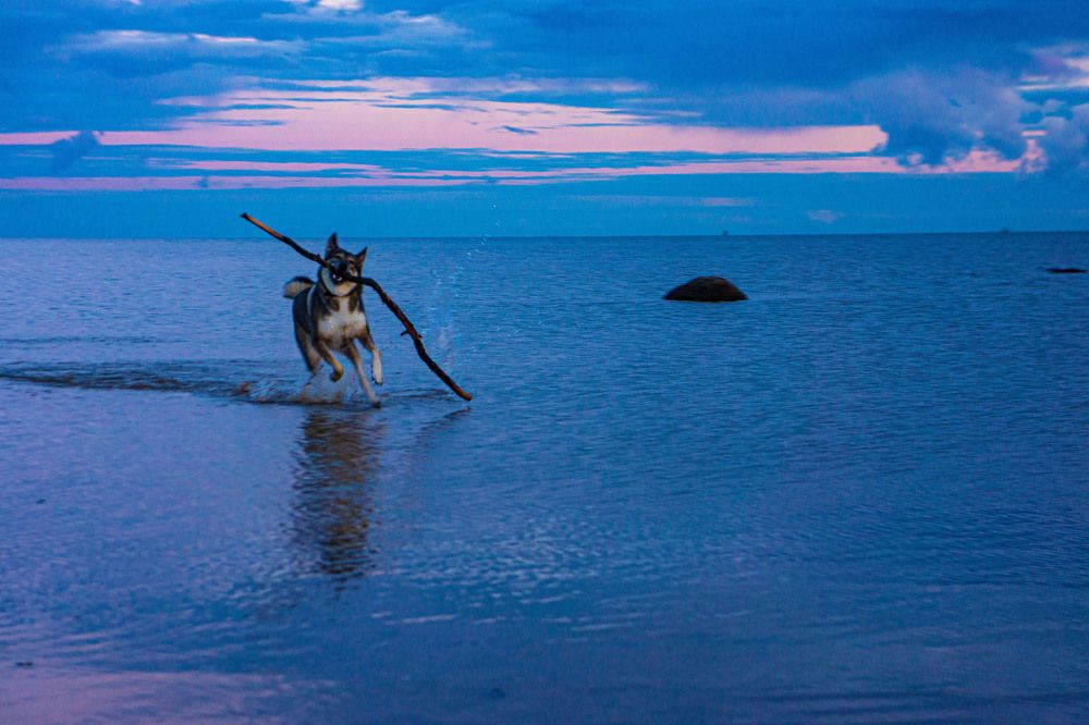 Photograph by Виталий Зубков