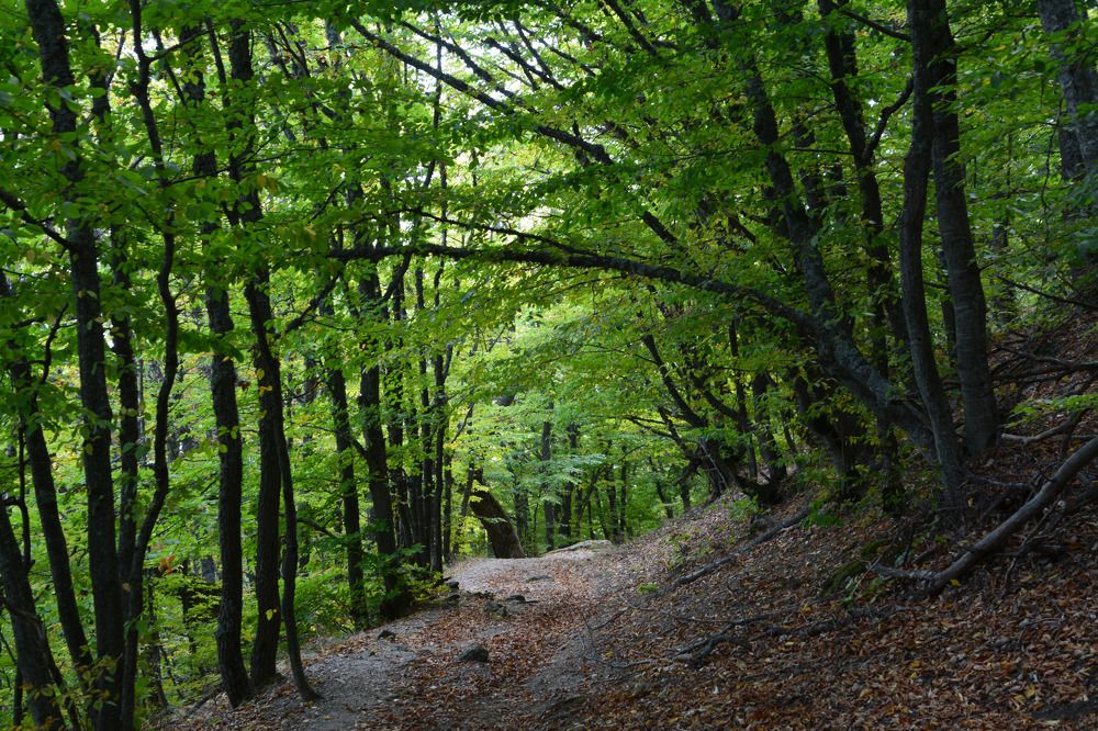 Photograph by Екатерина Крючкова