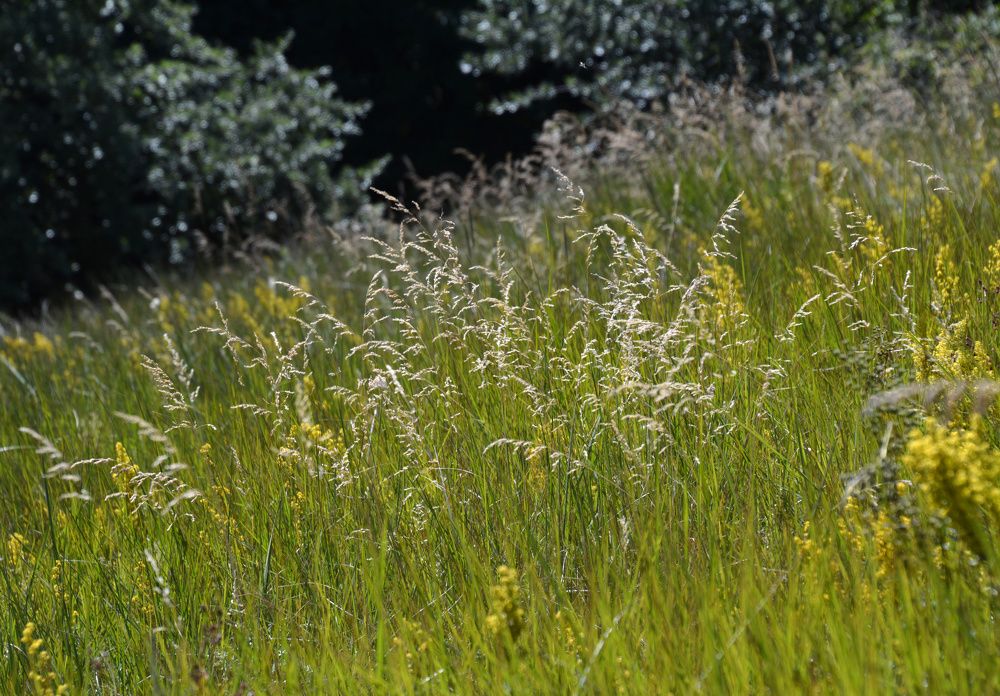 Photograph by Екатерина Крючкова