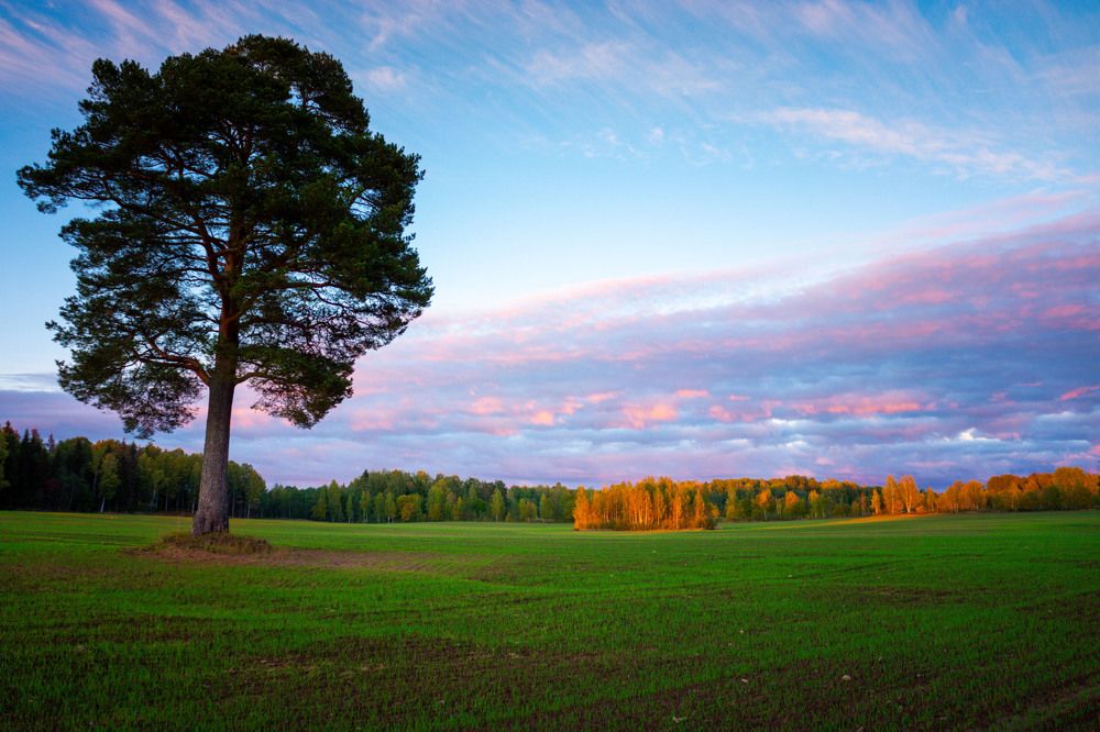 Photograph by Виталий Зубков