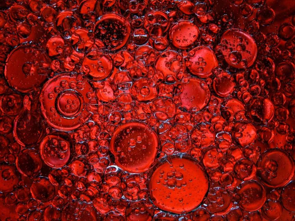 Photograph by Анжелика Трошина