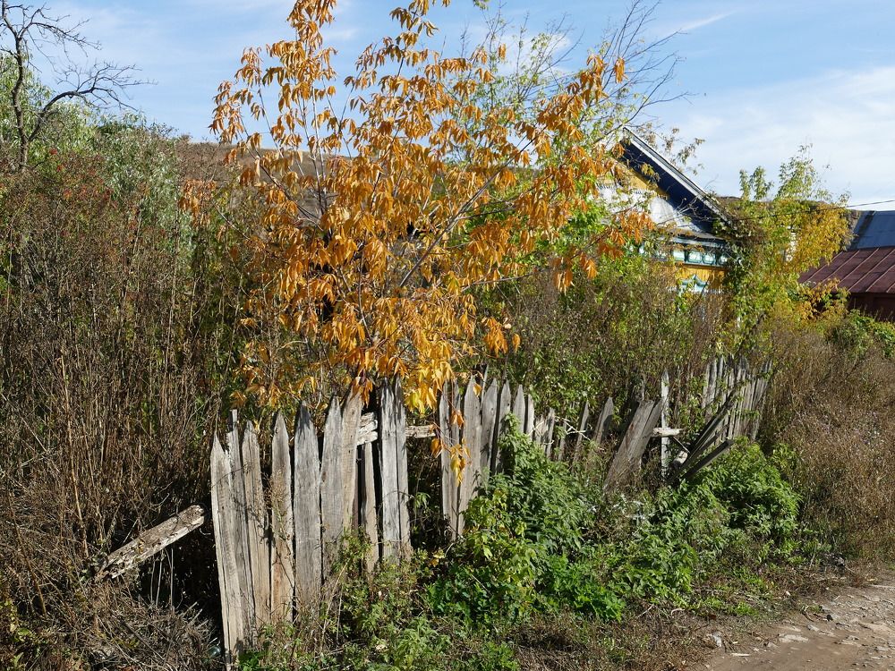 Photograph by Александр Кизим