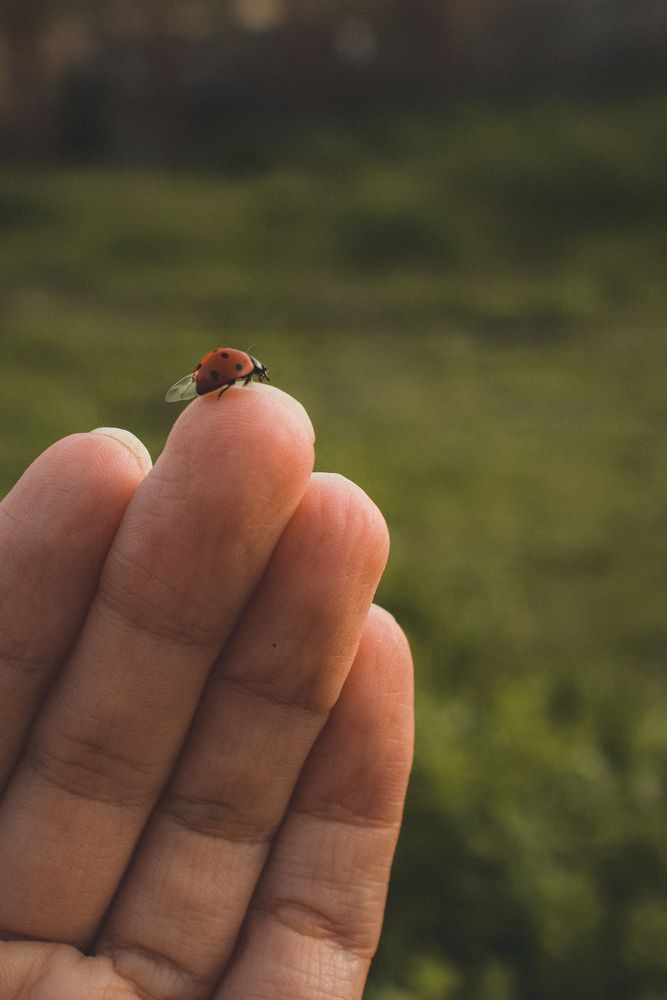 Photograph by Анна Федотова