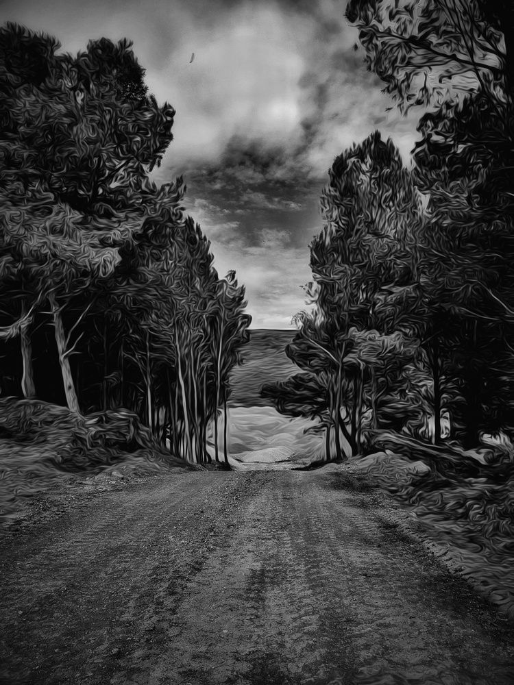 Photograph by ilyes benaissa