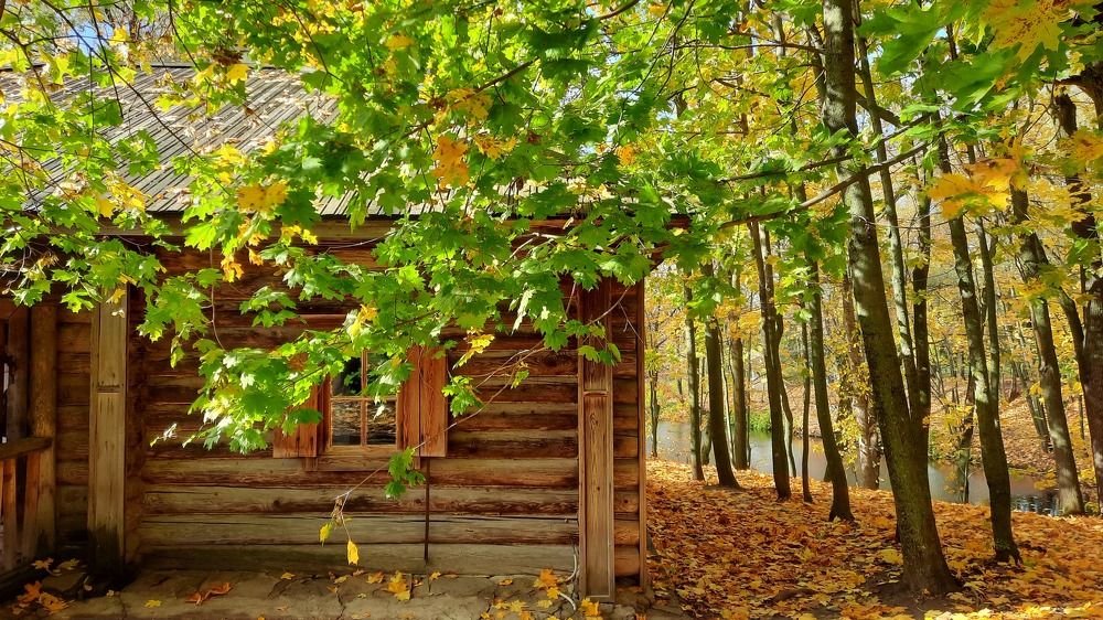 Photograph by Юлия