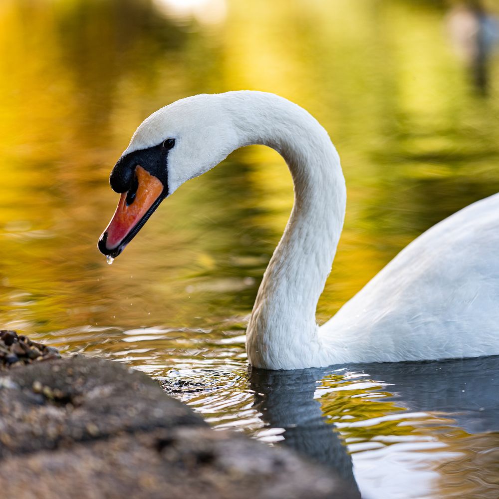 Photograph by Анастасия