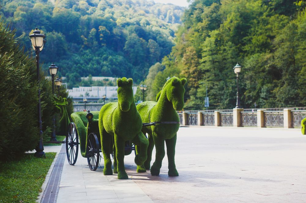 Photograph by Александр Ермаченко