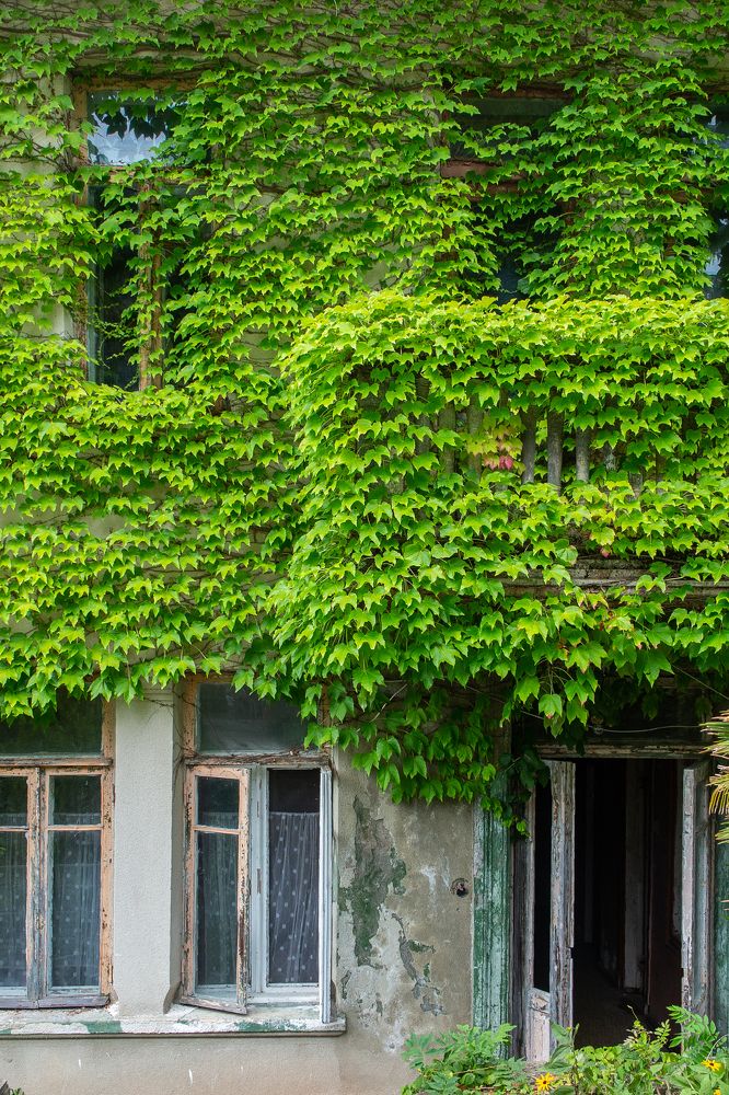 Дача Сталина