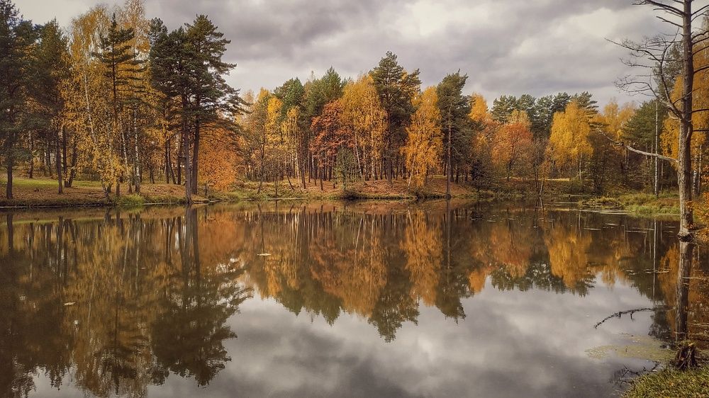 Photograph by Елена Раздвилова