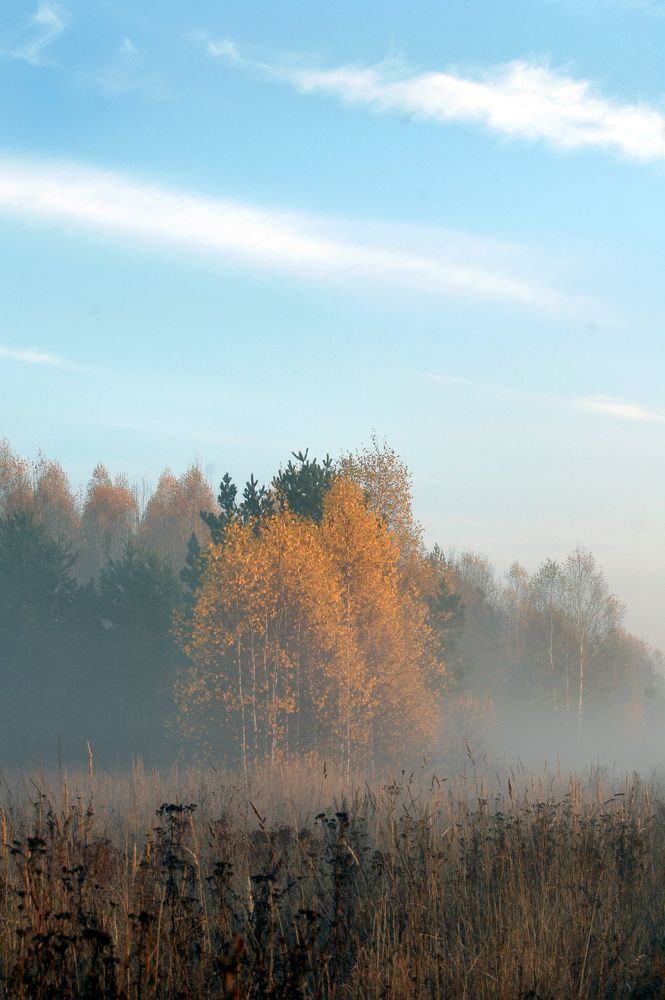 Photograph by Майя Синичкина