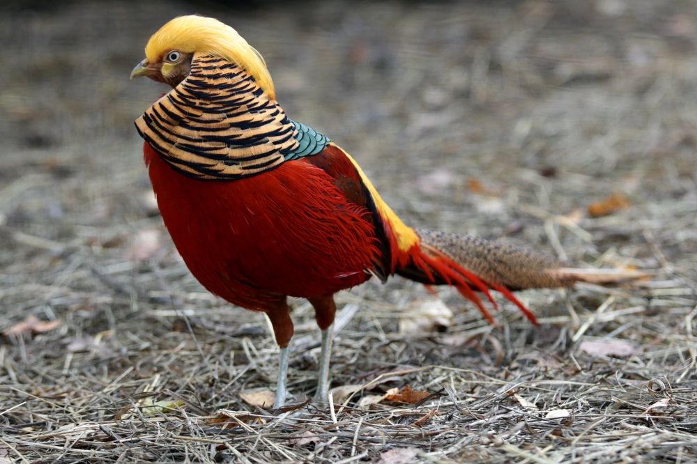 Photograph by Елена Ковалева