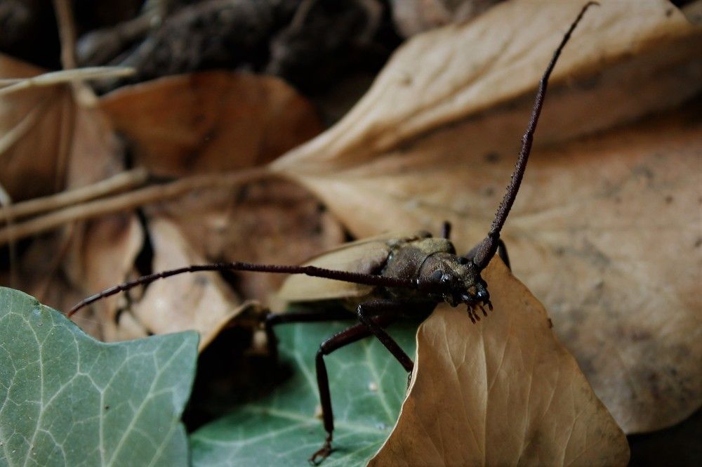 Фотография автора Таня Долгушева