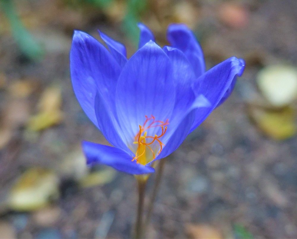 Photograph by Оксана Архипова