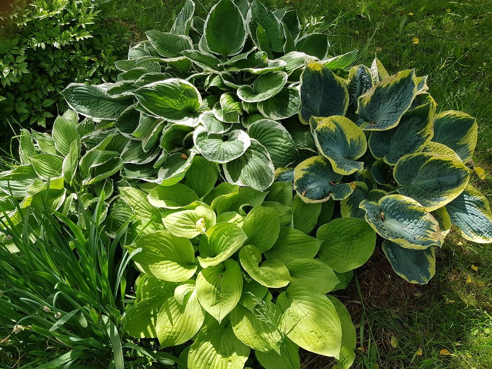 Photograph by Марина