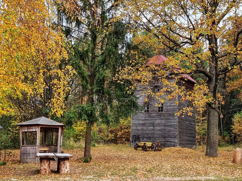 Фотография автора Дана Богинская
