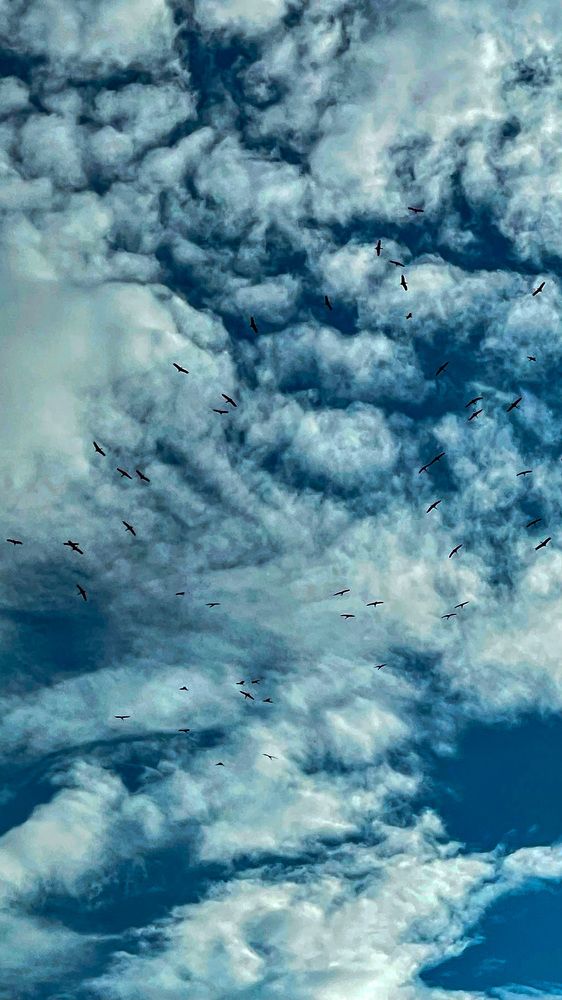 Photograph by Людмила Казак