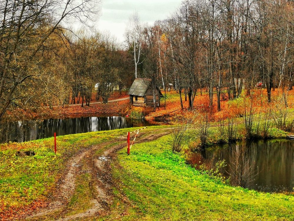 Фотография автора Ринат Абдуллин