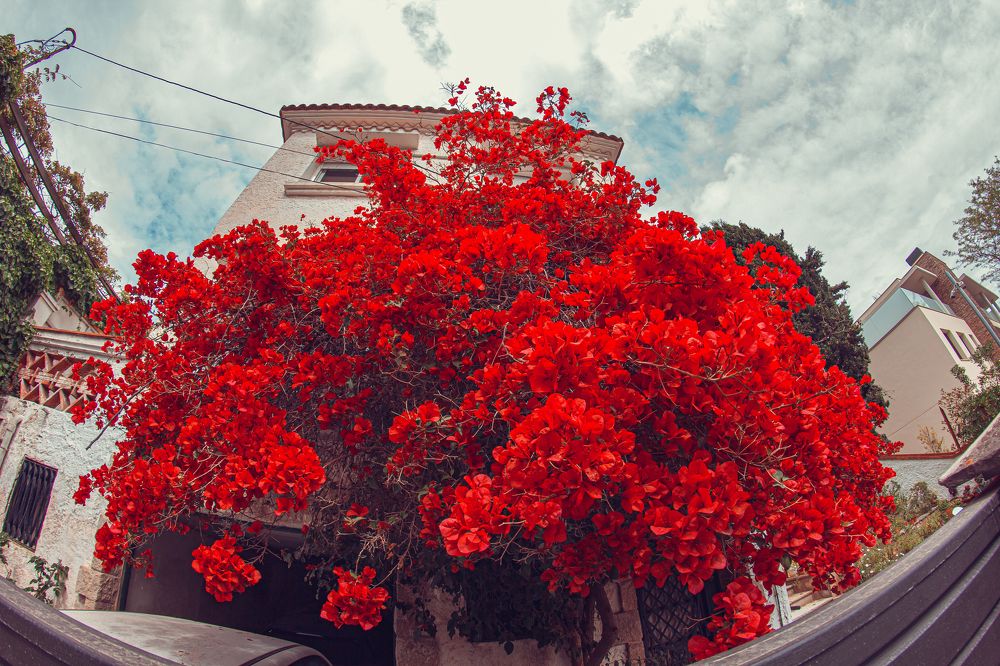 Photograph by Андрей Шишлов