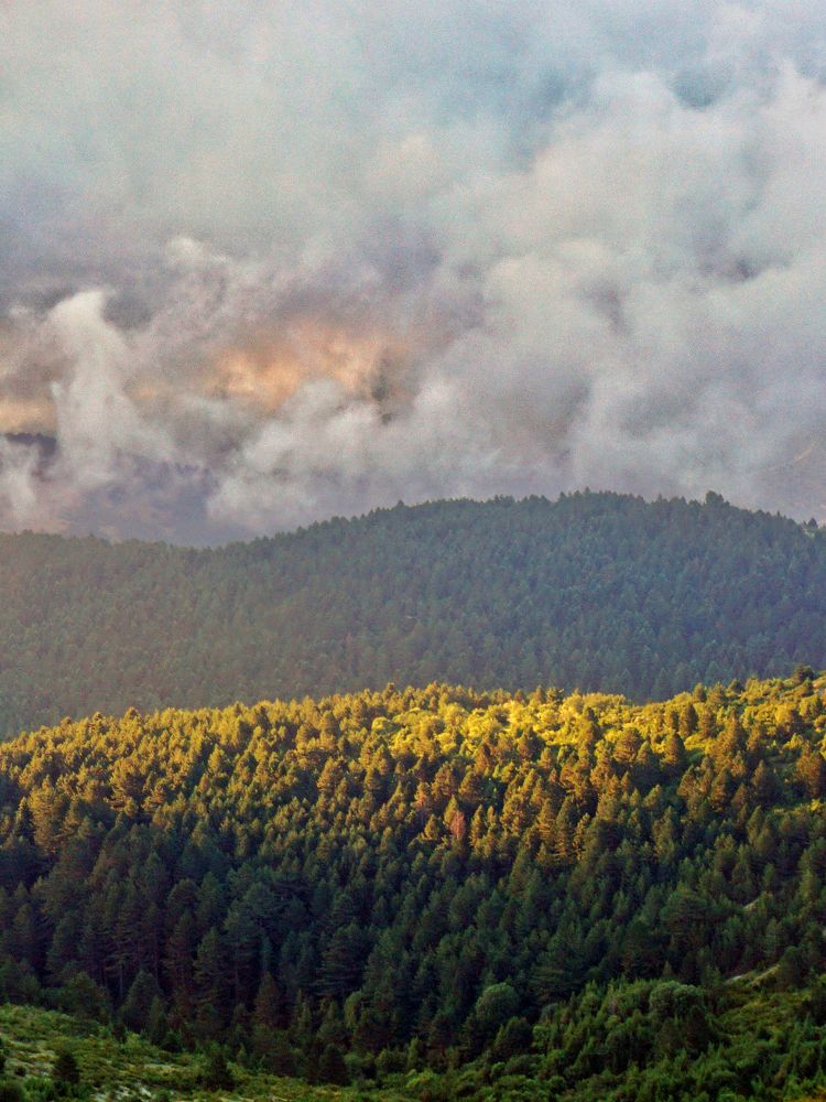 Photograph by Dimitris Lapousis