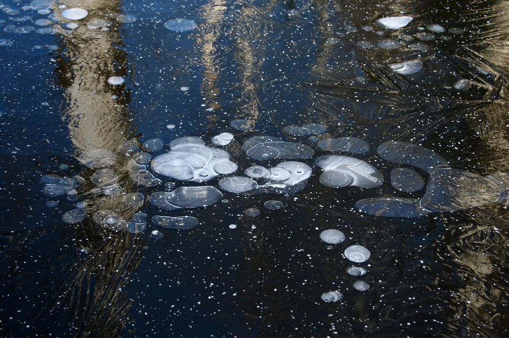 Photograph by Майя Синичкина