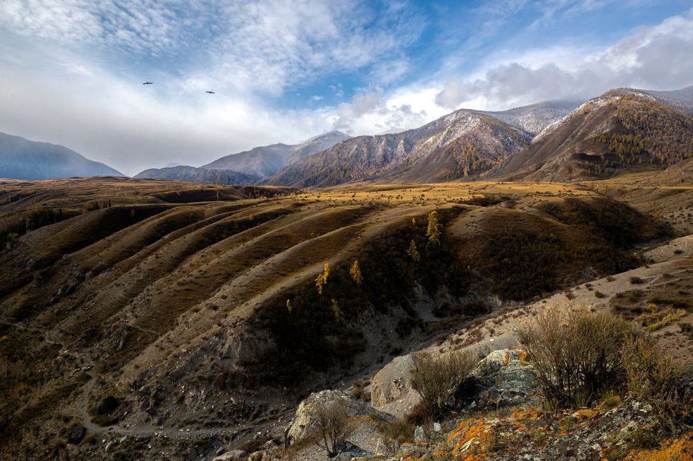 Photograph by Anton Kuzkin