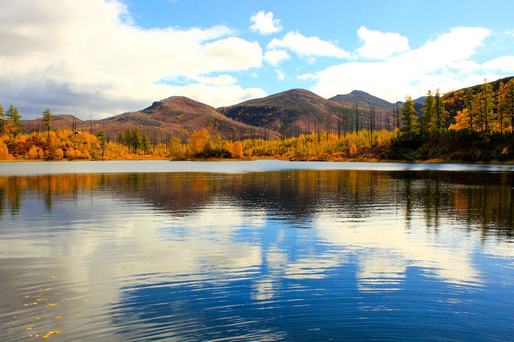 Photograph by Наталья Зайцева