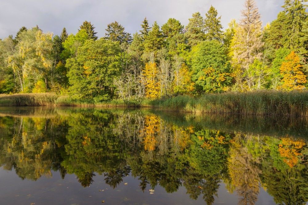 Photograph by Andrei Baburin