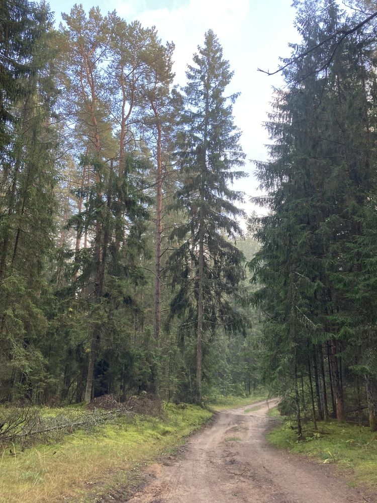 Photograph by Vladislavas Lavrinovicius