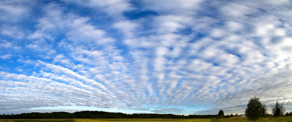 Веерное утро