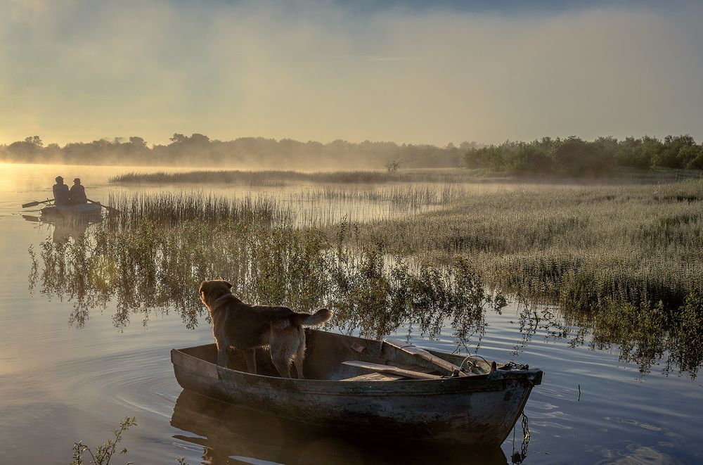Раннее утро