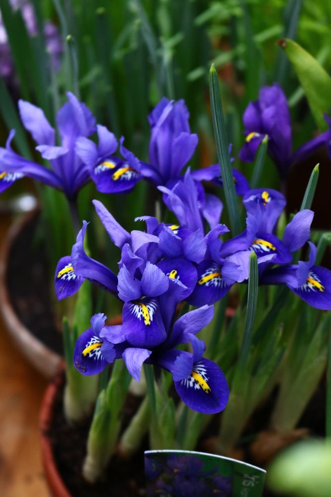 Photograph by Светлана Шуткова