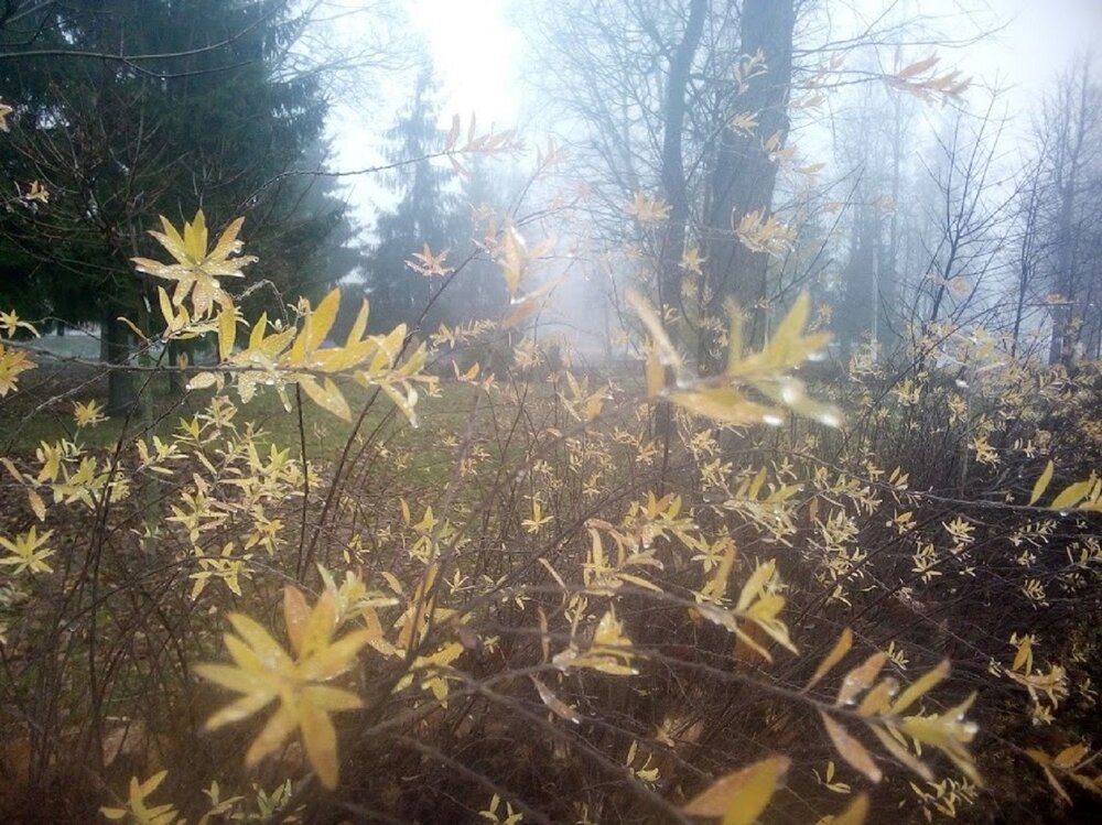 Photograph by Ася Кузьмина