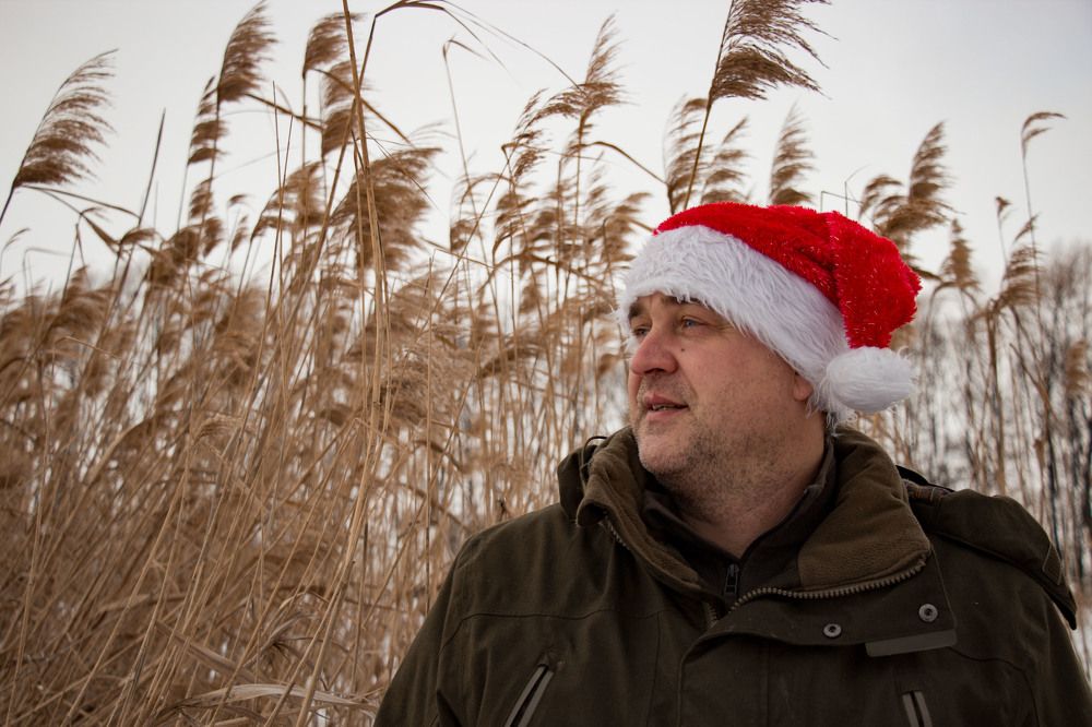 Фотография автора Елена Запертова