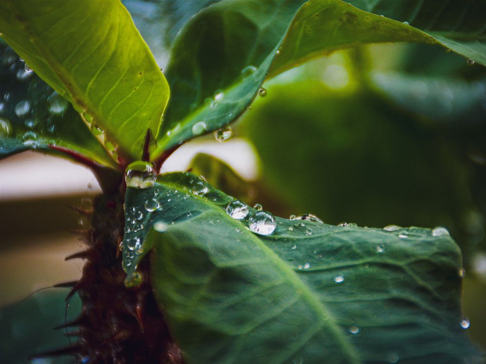 Photograph by TAMIM AL HASAN