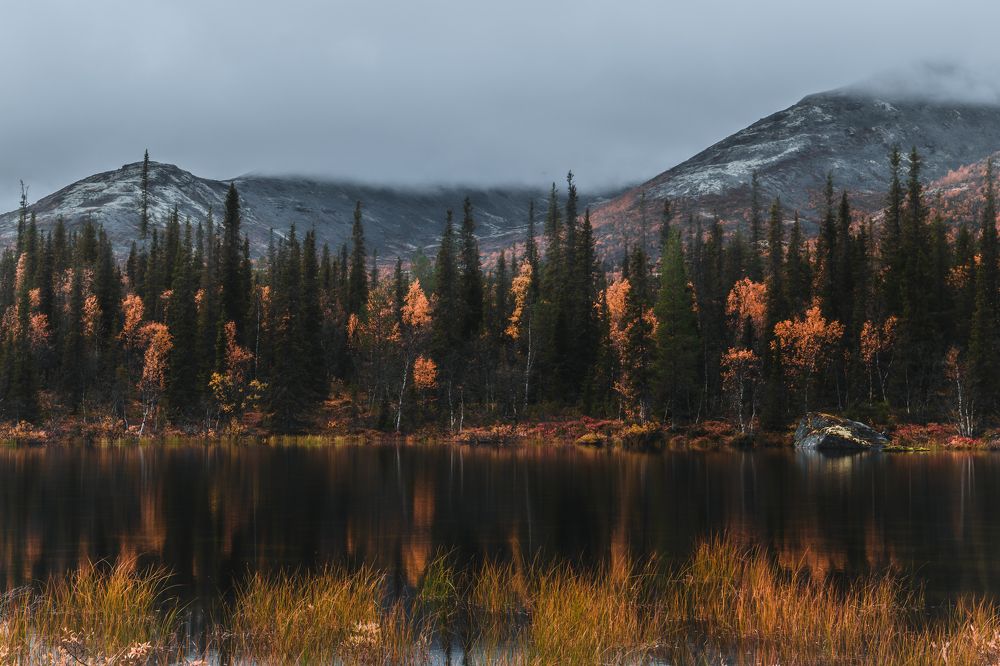 Photograph by Никита Волокитин