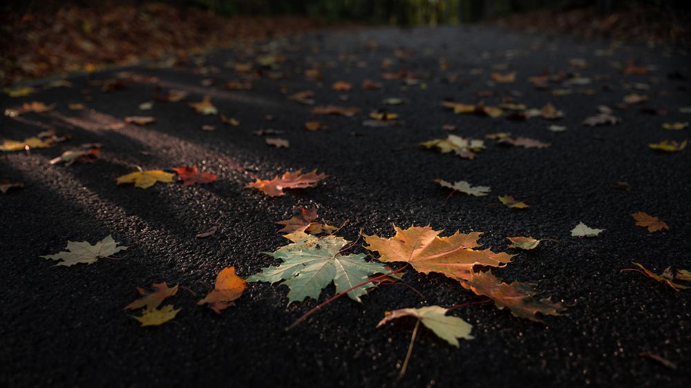 Photograph by Александр Битюков